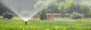Water sprinkler sprays fine mist across backyard lawn, irrigating the grass on a sunny day with landscaped greenery and shrubs in the background. High quality photo