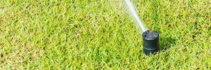 sprinkle on green grass garden