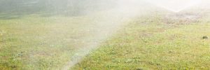 sprinkler working on a green grass lawn