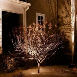 Landscape Lighting