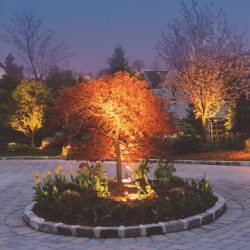Landscape Lighting