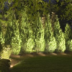 Landscape Lighting