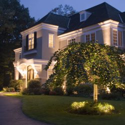 Landscape Lighting