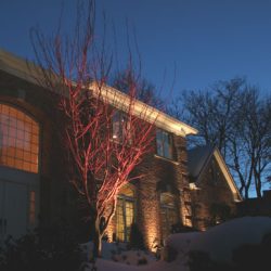 Landscape Lighting