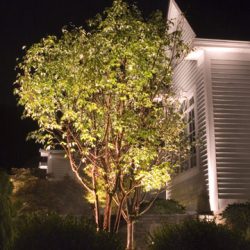 Landscape Lighting