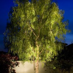 Landscape Lighting