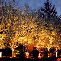 Landscape Lighting