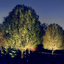 Landscape Lighting
