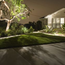 Landscape Lighting