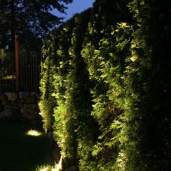 Landscape Lighting