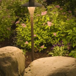 Landscape Lighting