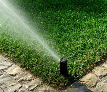Lawn Sprinkler