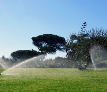 Lawn Sprinkler System