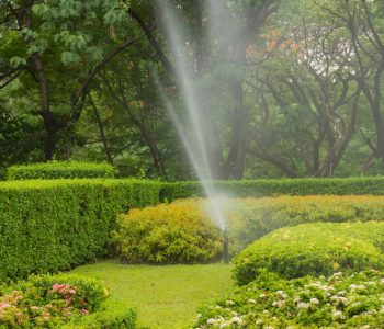 Lawn Sprinkler