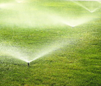 Lawn Sprinkler